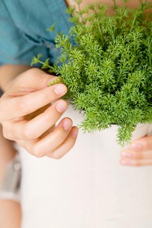 木工教室に通うのはどんな人なのか